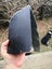 $1 reserve Pounamu greenstone carving block 3.1 kg Carousel 7