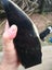 $1 reserve Pounamu greenstone carving block 3.1 kg Carousel 11