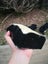 $1 reserve Pounamu greenstone carving block 3.1 kg Carousel 10