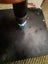 $1 reserve Pounamu greenstone carving block 3.1 kg Carousel 14