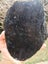$1 reserve Pounamu greenstone carving slab Carousel 1