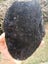 $1 reserve Pounamu greenstone carving slab Carousel 2