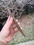 $1 reserve Pounamu greenstone carving slab Carousel 4