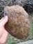 $1 reserve Pounamu greenstone carving slab Carousel 5
