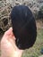 $1 reserve Pounamu greenstone carving slab Carousel 2