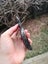 $1 reserve Pounamu greenstone carving slab Carousel 4