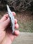 $1 reserve Pounamu greenstone carving slab Carousel 2