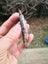 $1 reserve Pounamu greenstone carving slab nelson nephrite mix Carousel 4