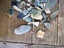 Pounamu greenstone bits and bobs offcuts and more 2.9 kgs $1 reserve Carousel 3
