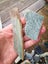 Pounamu greenstone bits and bobs offcuts and more 2.9 kgs $1 reserve Carousel 7
