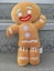 COLLECTABLE GINGERBREAD MAN Plush Toy-BDay | Anniversary | Valentines Day Gift Carousel 1