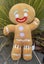 COLLECTABLE GINGERBREAD MAN Plush Toy-BDay | Anniversary | Valentines Day Gift Carousel 2