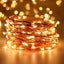 20m Plug-in Copper Wire Seed String Fairy Lights - Warm White Carousel 2
