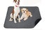 Coral Fleece Washable Dog Mat Non Slip Reusable Pee Pad for Pets Carousel 1