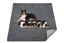 Coral Fleece Washable Dog Mat Non Slip Reusable Pee Pad for Pets Carousel 3