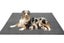 Coral Fleece Washable Dog Mat Non Slip Reusable Pee Pad for Pets Carousel 4