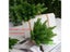 5 Pcs Artificial Plants Pine Branches Christmas Tree Accessories DIY New Year Carousel 1