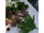 5 Pcs Artificial Plants Pine Branches Christmas Tree Accessories DIY New Year Carousel 5
