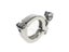 1.5" - 8" 3PCS 5PCS 10PCS Sanitary Stainless Steel Tri Clamp Clamps Clover For Carousel 1