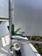 IOM one metre radio controlled yacht Carousel 4
