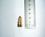 ESTATE MINIATURE FRENCH BOTTLE PENDANT WITH KAURI AMBER/GUM & GARNET INSIDE. Carousel 4