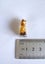 ESTATE MINIATURE FRENCH BOTTLE PENDANT WITH KAURI AMBER/GUM & GARNET INSIDE. Carousel 7