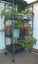 SHELVES METAL GALVANISED HOT DIP W WHEEL - MUSHROOM GROWING, CHILLER, GARDEN Carousel 6