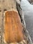 2.84m Ancient Swamp Kauri Slab – Ideal for Bartop Hall Table Carousel 10