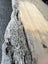 2.84m Ancient Swamp Kauri Slab – Ideal for Bartop Hall Table Carousel 12
