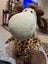TEDDIES ETC. Carousel 1