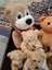 TEDDIES ETC. Carousel 6