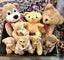 TEDDIES ETC. Carousel 5