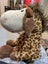 TEDDIES ETC. Carousel 3