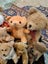 TEDDIES ETC. Carousel 7