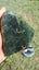Greenstone slab Carousel 1