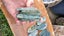 Greenstone Carousel 8