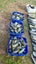 Greenstone Carousel 8
