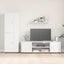 4 Piece Tv Cabinet Set With Shelf Wall-Mounted With Storage With Door Manual ... Carousel 6