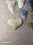 Fossil Shark Tooth - Bulk (Megalodon, Great White, Lesser White, Bull etc) $1Res Carousel 11