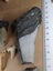 Fossil Shark Tooth - Bulk (Megalodon, Great White, Lesser White, Bull etc) $1Res Carousel 5