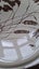 7 x Crown Lynn Wild Wheat dinner plates Carousel 5
