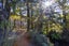 gallery view thumbnail