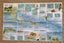 6 NATIONAL GEOGRAPHIC POSTERS + MAPS AFRICA SOLAR SYSTEM WEST INDIES DINOSAURS Carousel 12