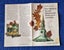 6 NATIONAL GEOGRAPHIC POSTERS + MAPS AFRICA SOLAR SYSTEM WEST INDIES DINOSAURS Carousel 17
