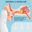 Ear Water Dryer Professional Warm Air Quick Drying Portable Ear Drying Machine Carousel 3