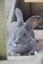 Flemish Giant kits Carousel 10