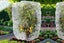 Bird Netting for Garden Protection Garden Netting Pest Barrier with Drawstring Carousel 7