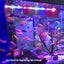 USB Powered aquarium tube light Carousel 2