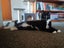 CAT RESCUE CHRISTCHURCH - Ready for Adoption - Gus Carousel 5