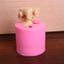 Teddy Bear Silicone Mould Fondant Cake Mold Carousel 9